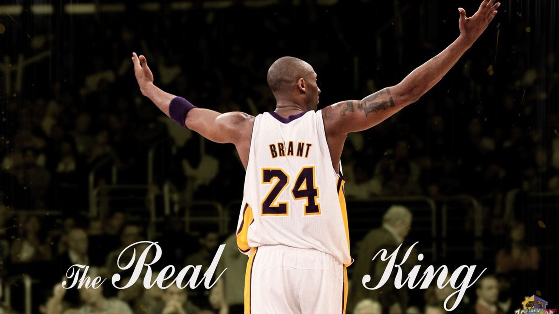 篮球战术分析软件成为教练新宠，篮球技战术分析软件